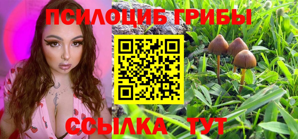 Галлюциногенные грибы прущие грибы Братск