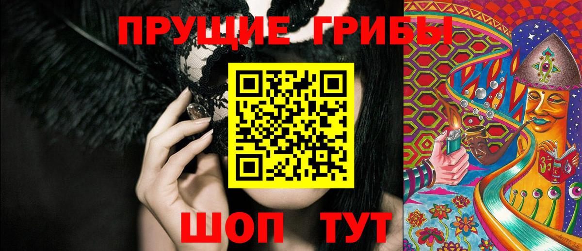 Псилоцибиновые грибы Psilocybine cubensis  Вход с VPN  Братск 